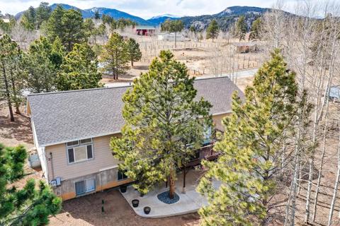 252 Burland Dr, Bailey, CO 80421 photo 39