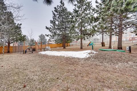 252 Burland Dr, Bailey, CO 80421 photo 29