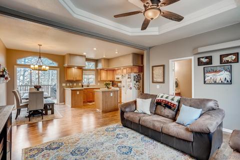 252 Burland Dr, Bailey, CO 80421 photo 4