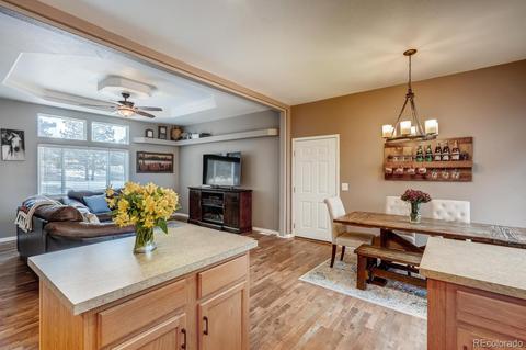 252 Burland Dr, Bailey, CO 80421 photo 8