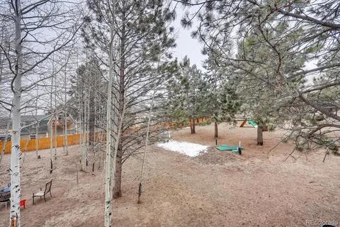 252 Burland Dr, Bailey, CO 80421 photo 27