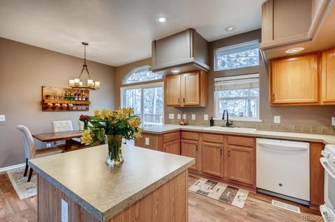 252 Burland Dr, Bailey, CO 80421 photo 12