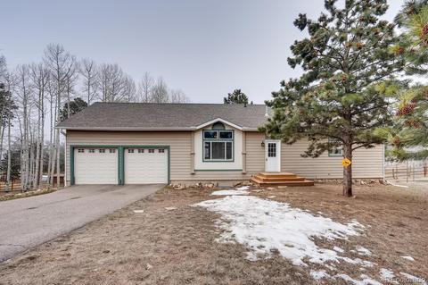 252 Burland Dr, Bailey, CO 80421 photo 1