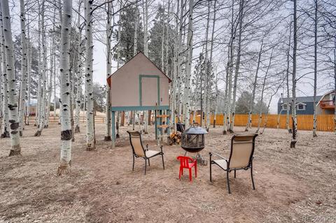 252 Burland Dr, Bailey, CO 80421 photo 28