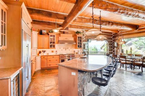 165 Roland Dr, Bailey, CO 80421 photo 13