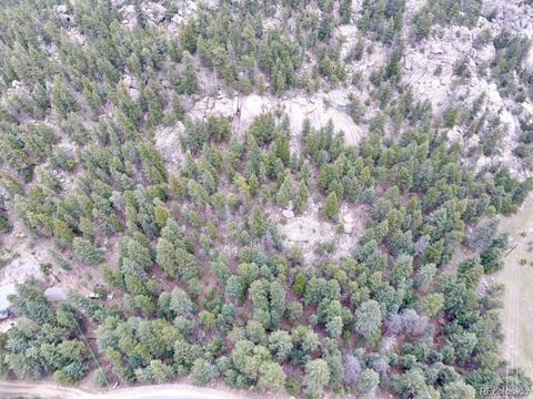 8894 S Doubleheader Ranch Rd, Morrison, CO 80465 photo 3