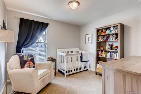 8434 E 49th Dr, Denver, CO 80238 photo 14