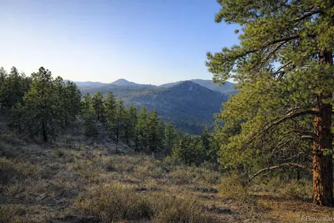 Delwood Drive, Bailey, CO 80421