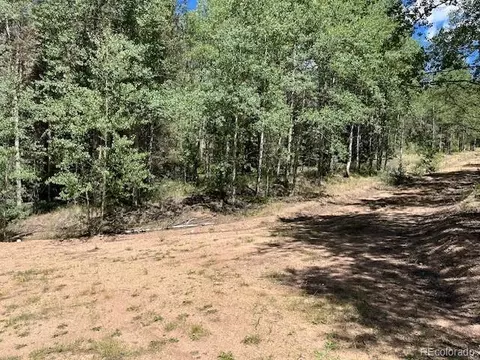 lot5655 Highlander Rd, Fort Garland, CO 81133
