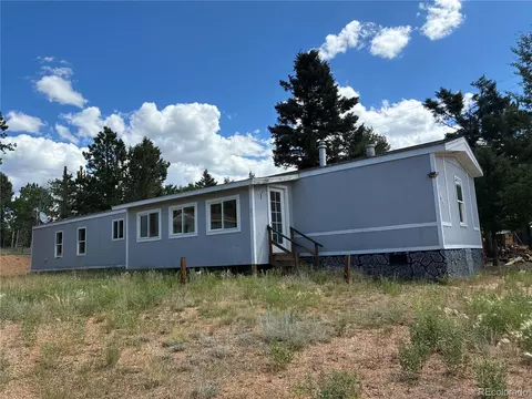 169 Daisy St, Woodland Park, CO 80863