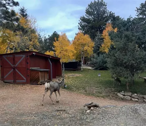 Other - 280 Bunny Rd, Bailey, CO 80421 photo 3 of 8