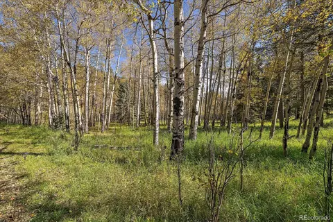 00000 Shadow Mountain Dr, Conifer, CO 80433 photo 4