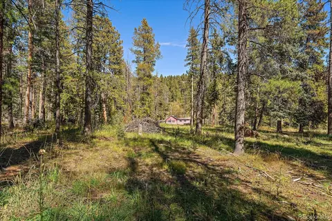 00000 Shadow Mountain Dr, Conifer, CO 80433 photo 11