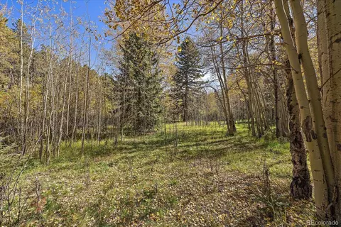 00000 Shadow Mountain Dr, Conifer, CO 80433 photo 3