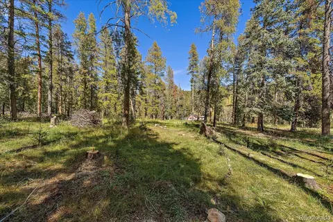 00000 Shadow Mountain Dr, Conifer, CO 80433 photo 6