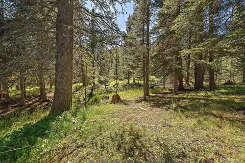00000 Shadow Mountain Dr, Conifer, CO 80433 photo 7