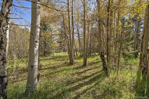 00000 Shadow Mountain Dr, Conifer, CO 80433 photo 2