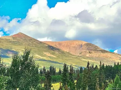 295 Silver Plume Rd, Fairplay, CO 80440
