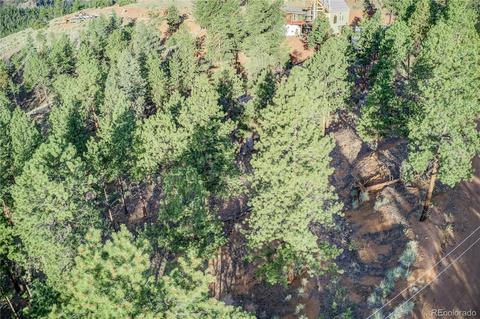 29542 High Rd, Pine, CO 80470 photo 23