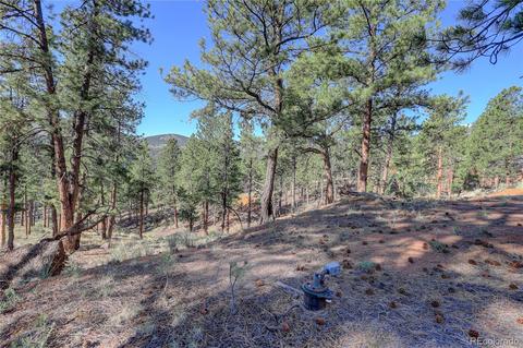 29542 High Rd, Pine, CO 80470 photo 13