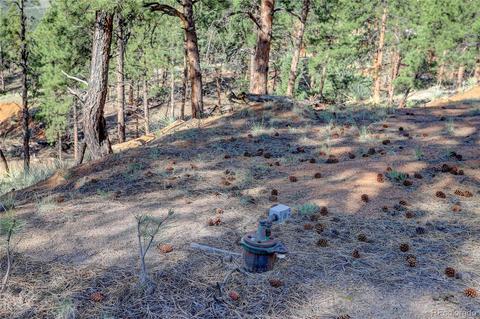 29542 High Rd, Pine, CO 80470 photo 14