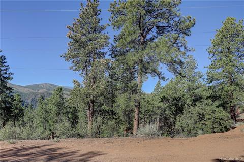 29542 High Rd, Pine, CO 80470 photo 6