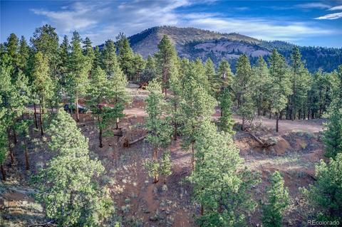 29542 High Rd, Pine, CO 80470 photo 5