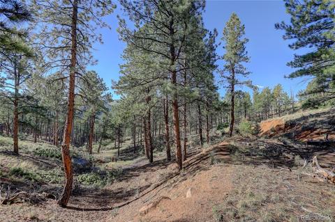 29542 High Rd, Pine, CO 80470 photo 17