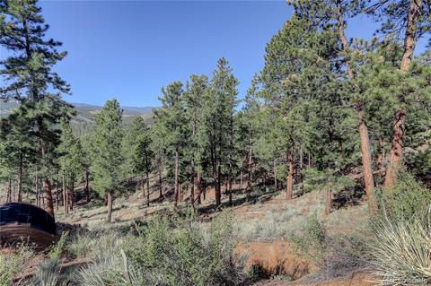 29542 High Rd, Pine, CO 80470 photo 7
