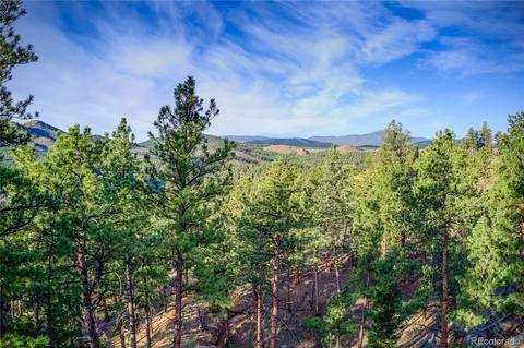29542 High Rd, Pine, CO 80470 photo 3
