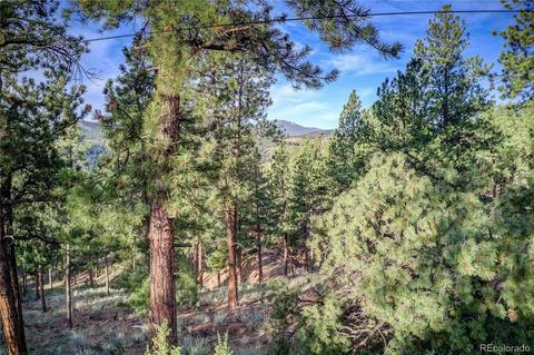 29542 High Rd, Pine, CO 80470 photo 2