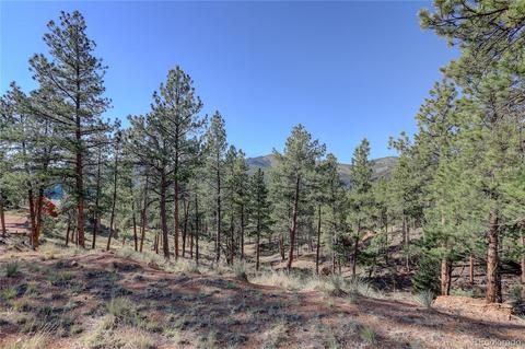 29542 High Rd, Pine, CO 80470 photo 11