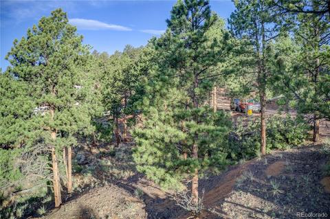 29542 High Rd, Pine, CO 80470 photo 28