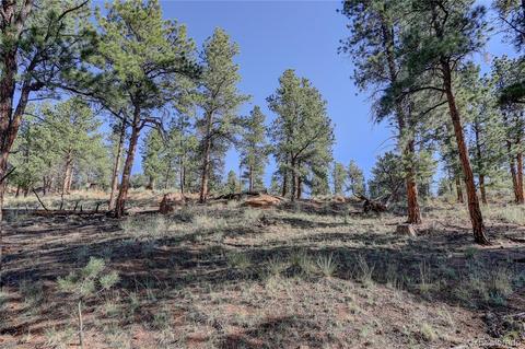 29542 High Rd, Pine, CO 80470 photo 15