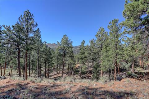 29542 High Rd, Pine, CO 80470 photo 19