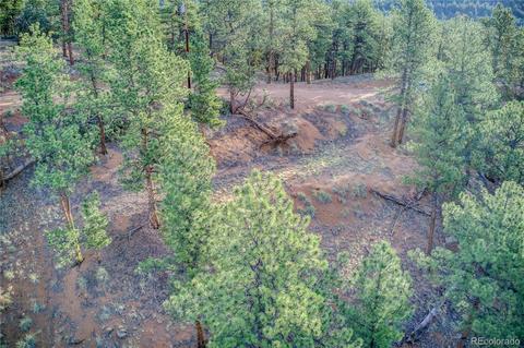 29542 High Rd, Pine, CO 80470 photo 24