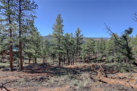 29542 High Rd, Pine, CO 80470 photo 10