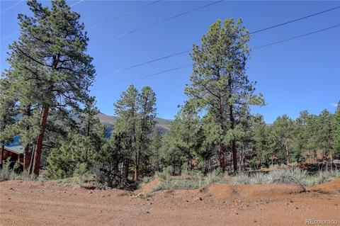 29542 High Rd, Pine, CO 80470 photo 9