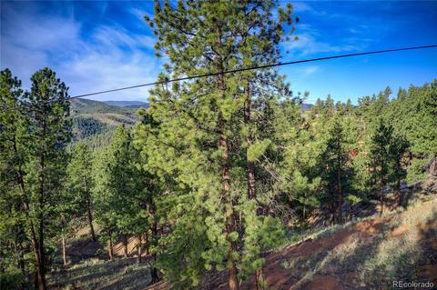 29542 High Rd, Pine, CO 80470 photo 27