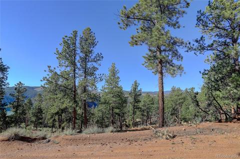 29542 High Rd, Pine, CO 80470 photo 8