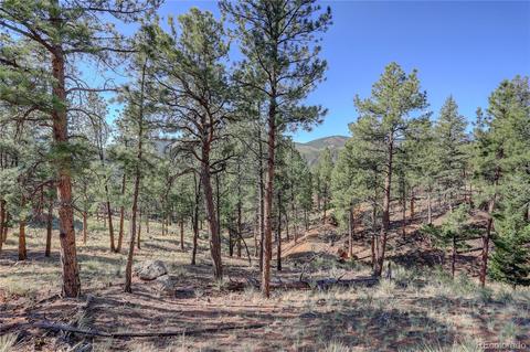 29542 High Rd, Pine, CO 80470 photo 12