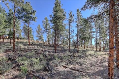 29542 High Rd, Pine, CO 80470 photo 16