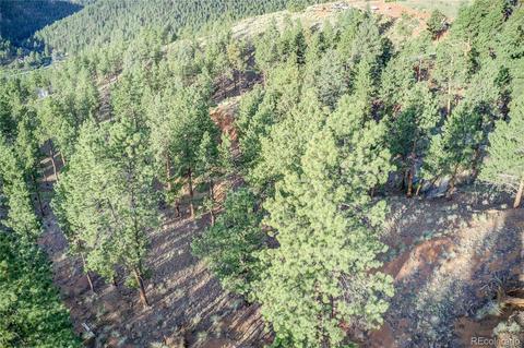 29542 High Rd, Pine, CO 80470 photo 22