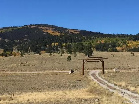 Other - 5675 Ranch Rd, Hartsel, CO 80449 photo 23 of 24