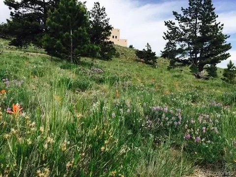 Other - 5675 Ranch Rd, Hartsel, CO 80449 photo 20 of 24
