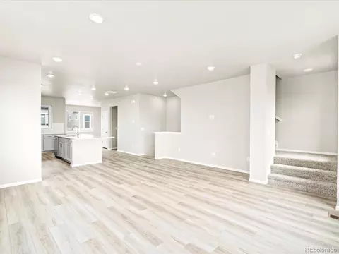 14421 Pansy Loop, Morrison, CO 80465 photo 11