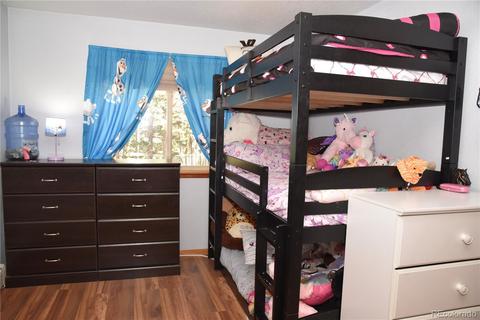 539 S Random Rd, Bailey, CO 80421 photo 14