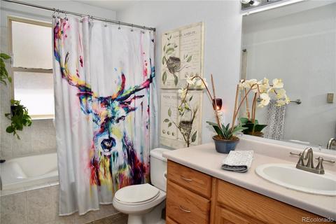 539 S Random Rd, Bailey, CO 80421 photo 16