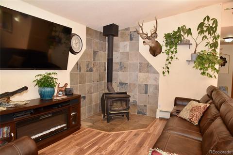 539 S Random Rd, Bailey, CO 80421 photo 8