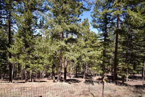 539 S Random Rd, Bailey, CO 80421 photo 27